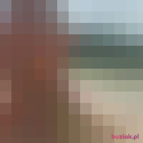 RadoslawW, Male, 38 years, Oleśnica
