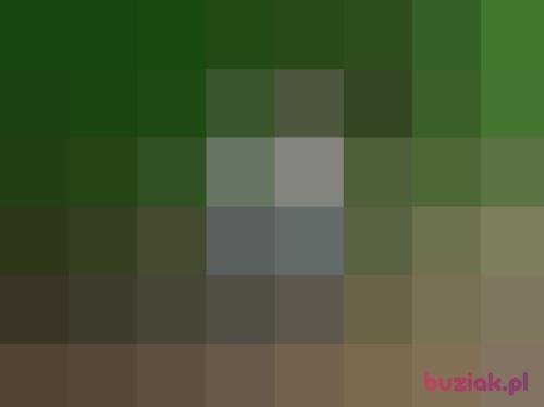 juska1, Female, 40 years, Opole