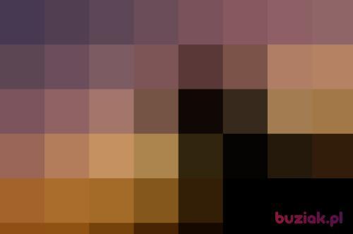 Orbit, Male, 37 years, Katowice