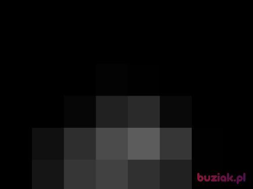 ptasior1976, Male, 49 years, Olsztyn