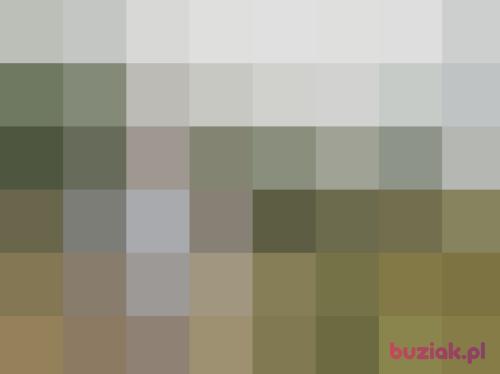 manman, Male, 67 years, Katowice
