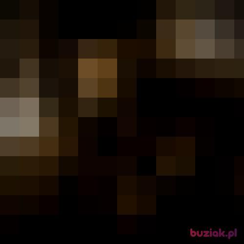 DlugiPP, Male, 42 years, Essen