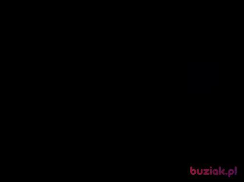 Mariuszpolska, Male, 49 years, Dusseldorf