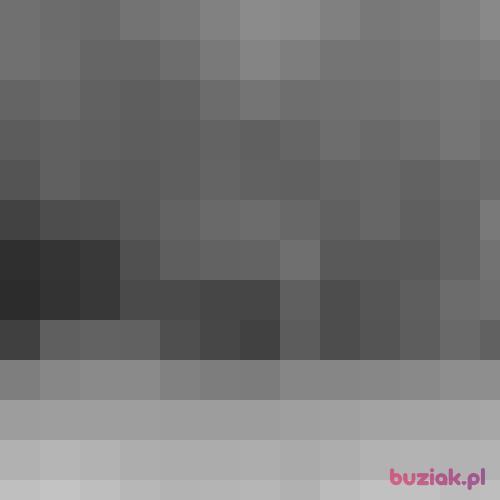 tro, Male, 33 years, Essen