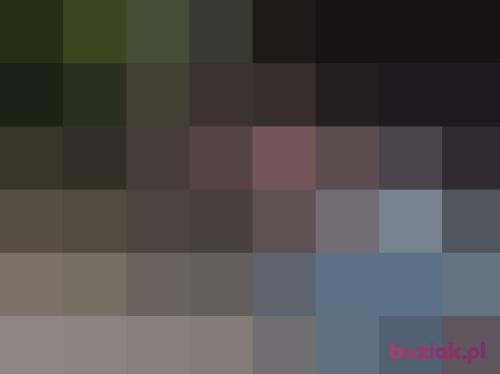 niutek46, Male, 53 years, Opole