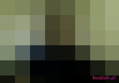 piotrlux1, Male, 55 years, Arcachon