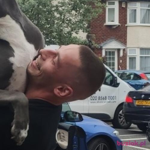 Pablo321, Mężczyzna, 38 lat, Westminster