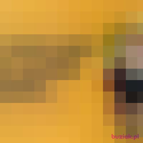 Maciek8623, Male, 56 years, Rzeszów