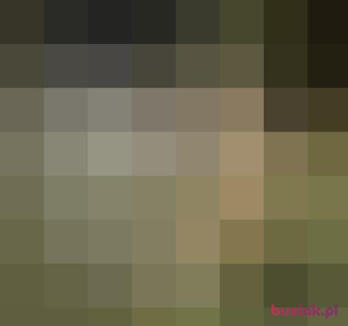 buniobunio, Male, 45 years, Wrocław
