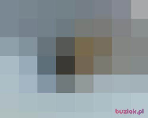 on33on, Male, 42 years, Olsztyn