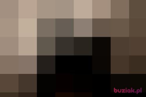 Exelve, Male, 52 years, Szczecin