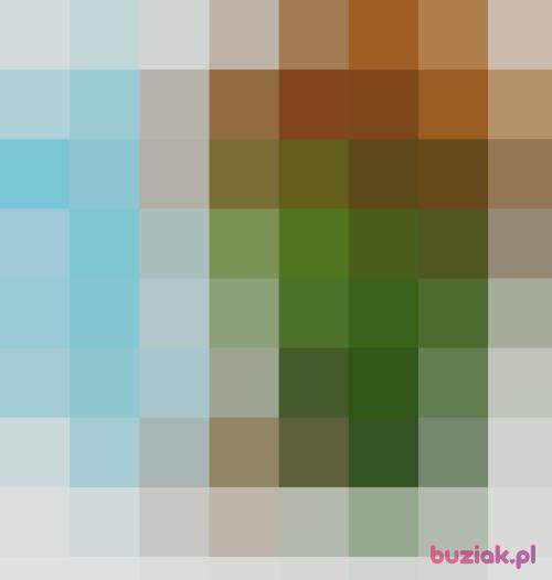 eurisex, Male, 42 years, Krapkowice