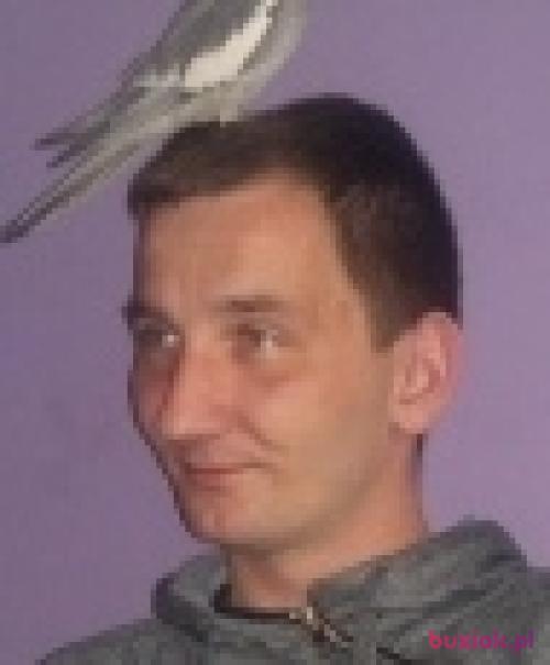 lukasz8408, Male, 41 years, Mysłowice