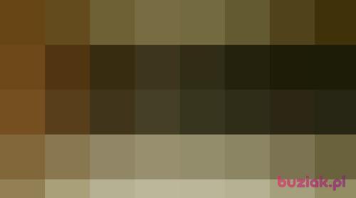 Jastarnia, Male, 51 years, Hel