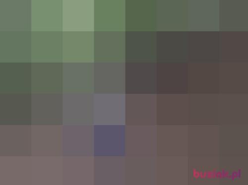 Fan87, Male, 38 years, Strzegom