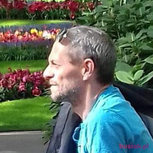 dar51enkhuizen, Mężczyzna, 56 lat, Haarlem