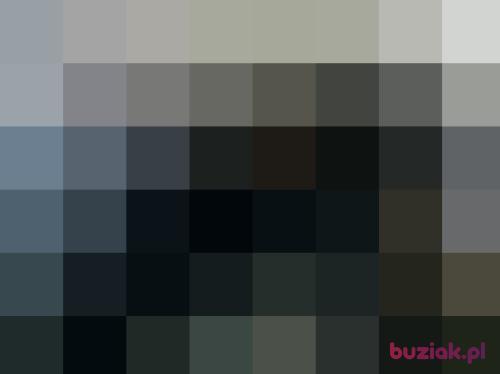 ikcebul, Male, 67 years, Zabrze