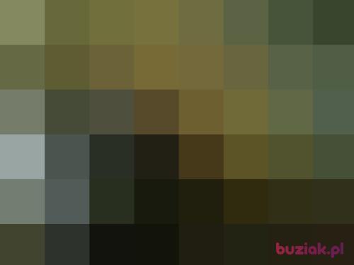 truskaweczkax33, Female, 29 years, Gdynia