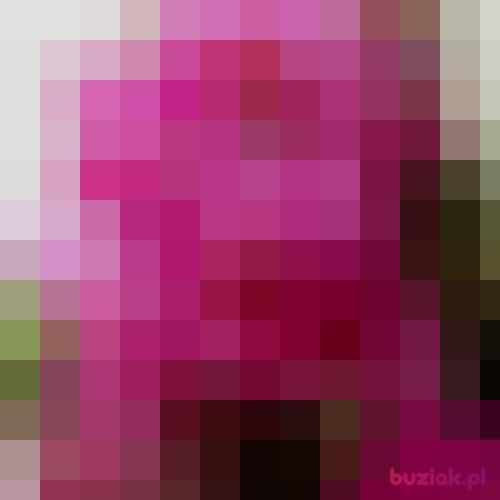 Aniito, Female, 55 years, Szczecin
