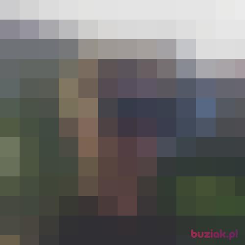 Blumix123, Mężczyzna, 27 lat, Stade