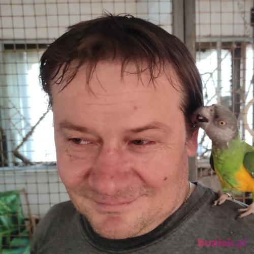 tomluz, Mężczyzna, 53 lata, Zawiercie