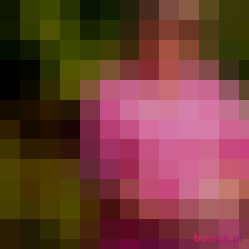Doradca, Female, 55 years, Kielce