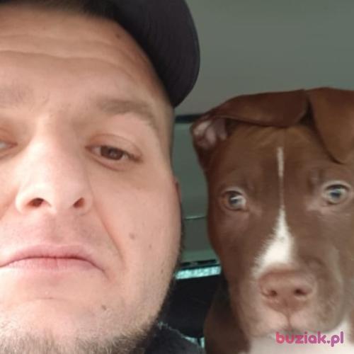 Lolek29, Mężczyzna, 37 lat, Oss