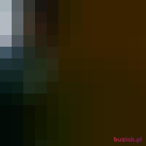 Jacek2345, Male, 41 years, Puławy