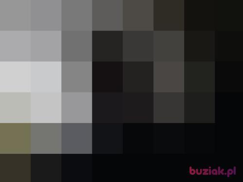 cycek1, Male, 61 years, Kalisz