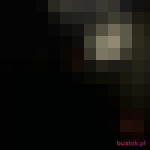 bitnymarcelo, Male, 31 years, Słupca