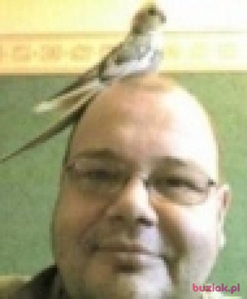 rusalek, Male, 56 years, Opole