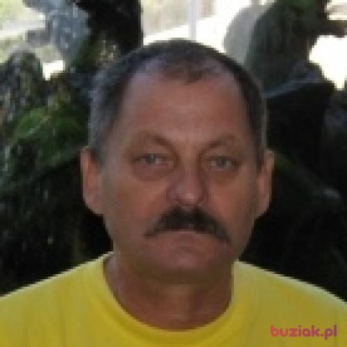 POLACCO, Mężczyzna, 72 lata, Zamość