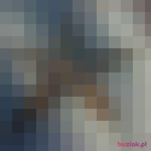Fanatyk69, Mężczyzna, 42 lata, Łęczna