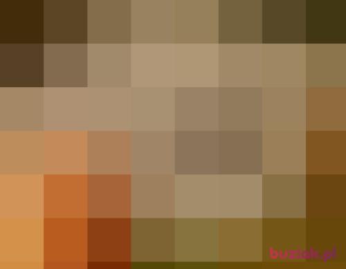 SYLVIA35, Kobieta, 42 lata, mazowieckie