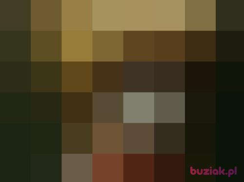 golus, Male, 57 years, Cologne