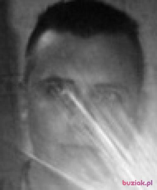 David950, Mężczyzna, 30 lat, Częstochowa