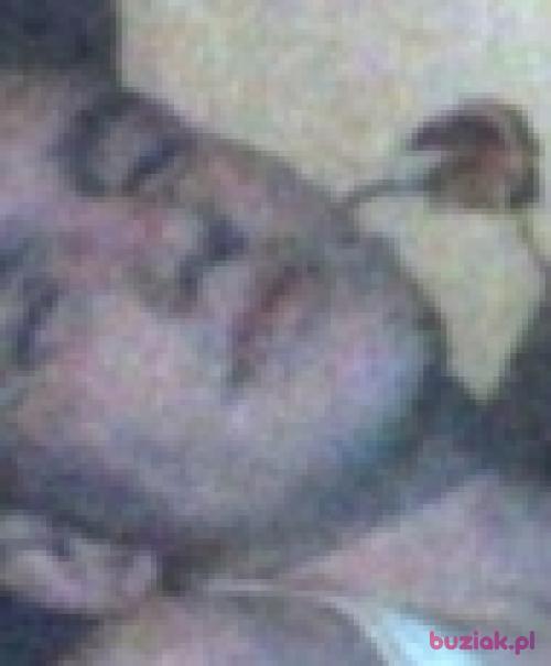 Olszakztr13, Male, 33 years, warmińsko-mazurskie