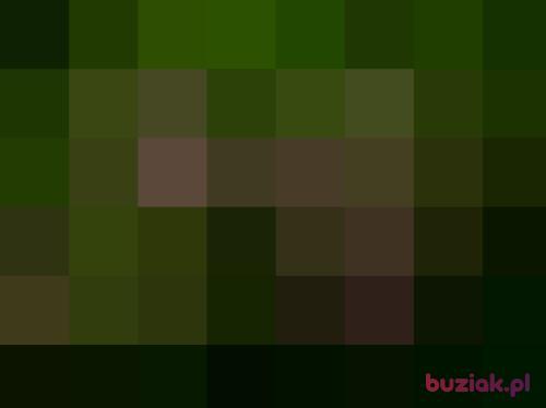 jacol34, Male, 45 years, Poznań