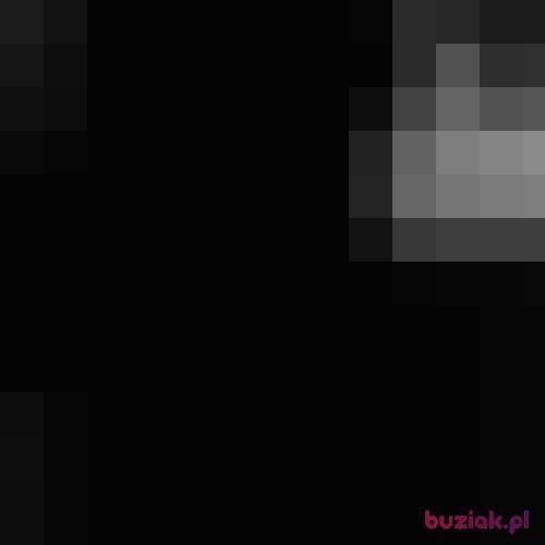 Po1nt3r, Male, 25 years, Łódź