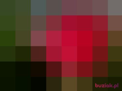 scoop, Male, 48 years, Arhus