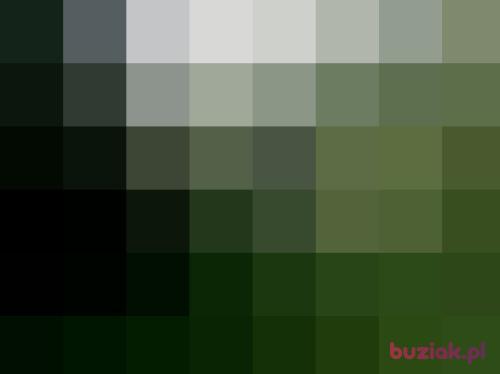 Walerian2, Male, 60 years, Kielce