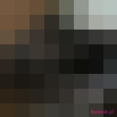 blacha123, Male, 31 years, Świebodzice