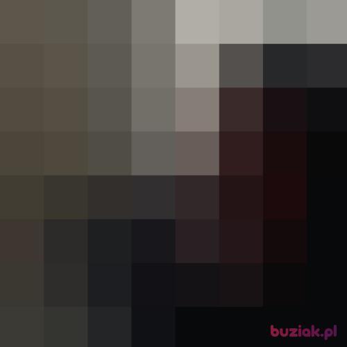 madziula29, Kobieta, 40 lat, Belfast