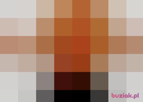 kevminetnick, Male, 52 years, Wadowice