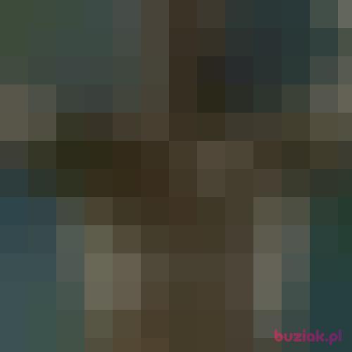 Lolo0000, Male, 43 years, Brzozów