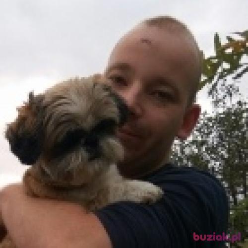 hanys90, Male, 36 years, Katowice