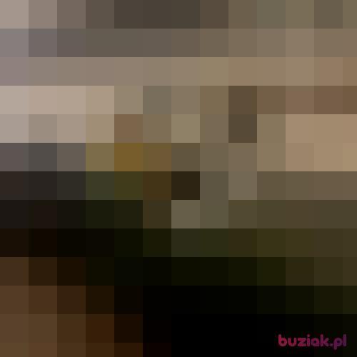 Sitarsexmaschi8, Mężczyzna, 38 lat, Pforzheim