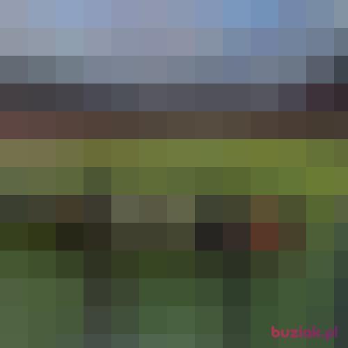 bartol_l, Male, 41 years, Amersfoort