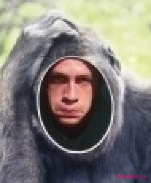 Reprezent, Male, 35 years, Kluczbork