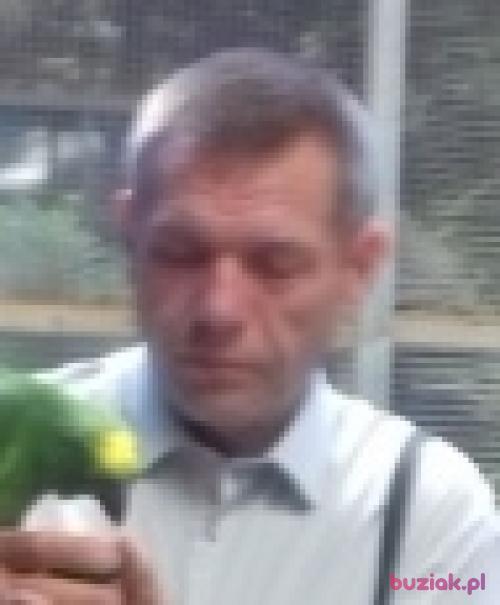 chomcio, Male, 61 years, Łódź